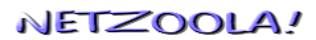 netzoola-logo-hi-cobntrast-image004.jpg